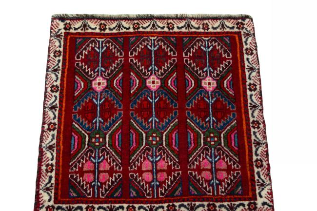 Shiraz - 3