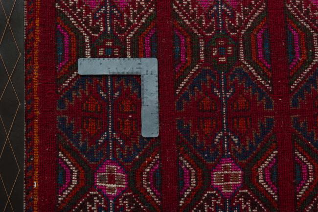 Shiraz - 4