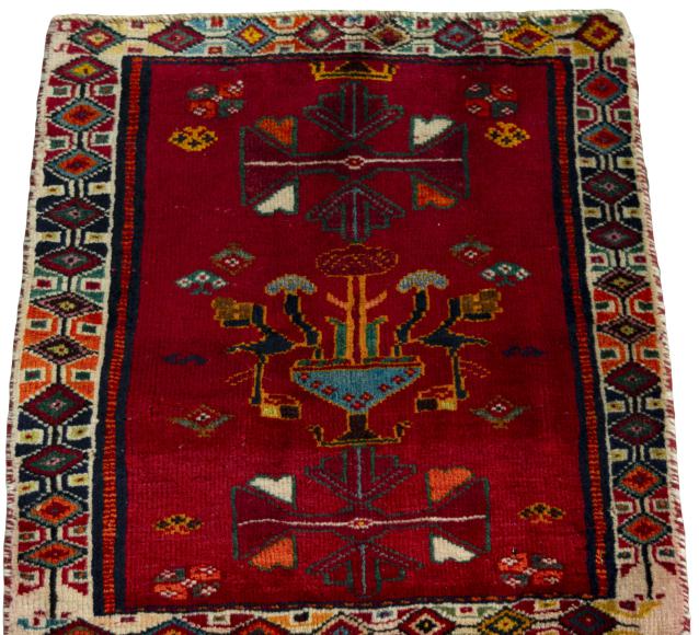 Shiraz - 3