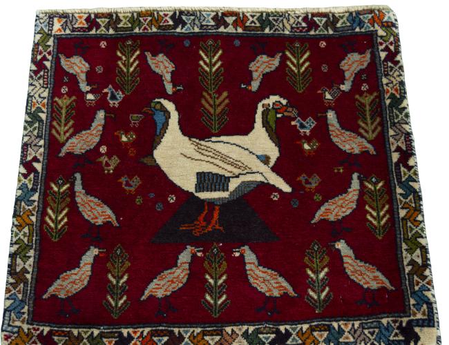 Shiraz - 3