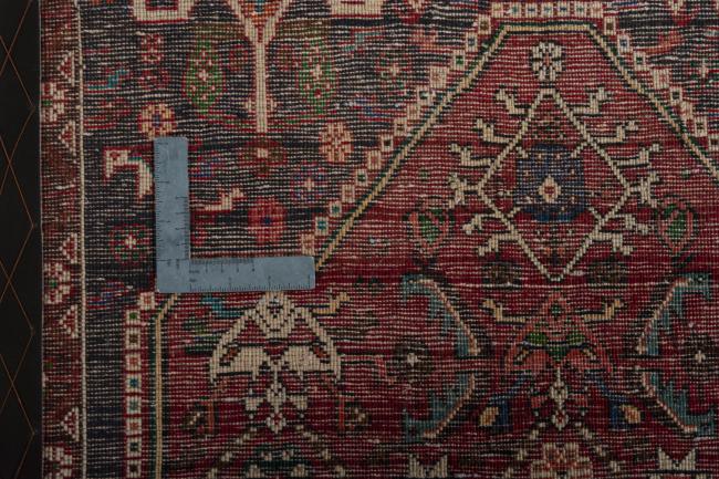 Shiraz - 9