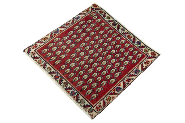 Shiraz - 1