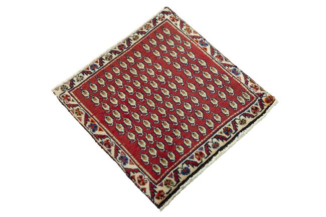 Shiraz - 2