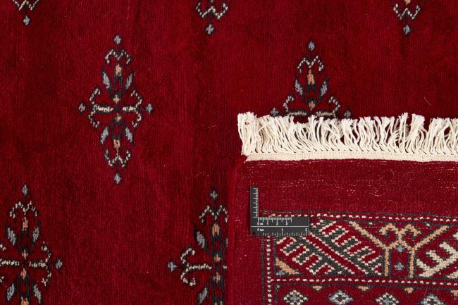 Pakistan Buchara 3ply - 1