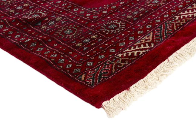 Pakistan Buchara 3ply - 3