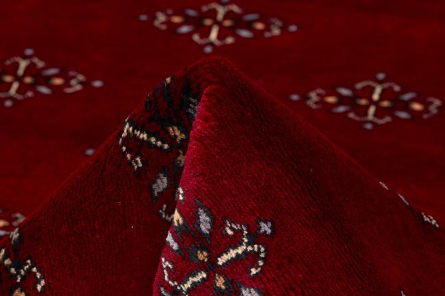 Pakistan Buchara 3ply - 4