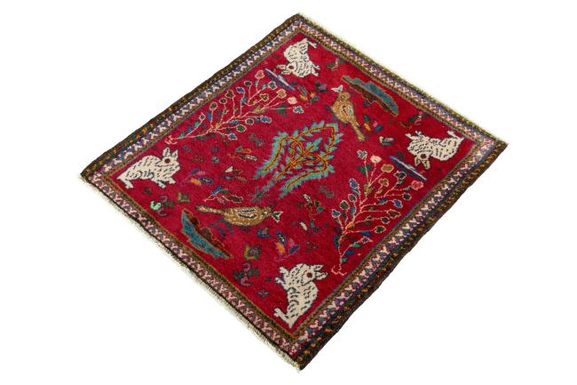 Shiraz - 1