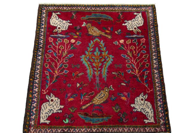 Shiraz - 3