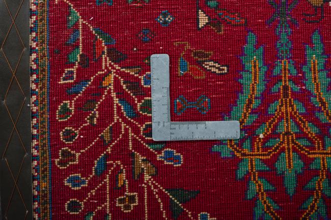 Shiraz - 4