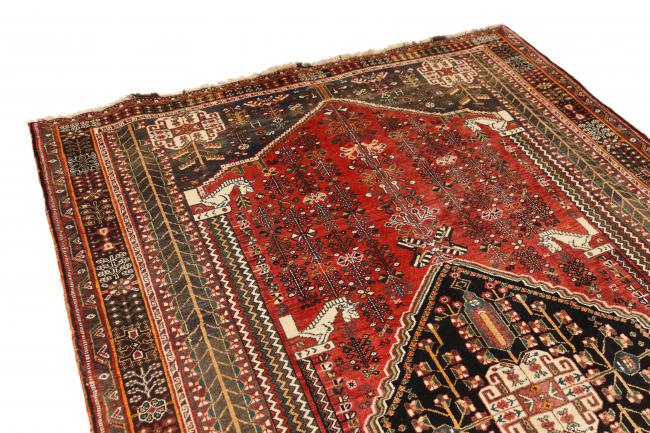 Shiraz - 3