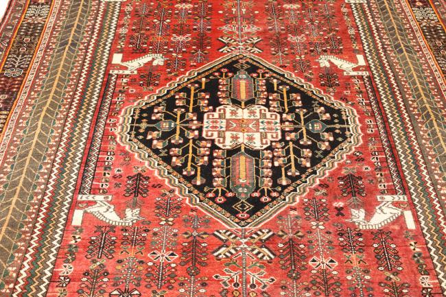 Shiraz - 4