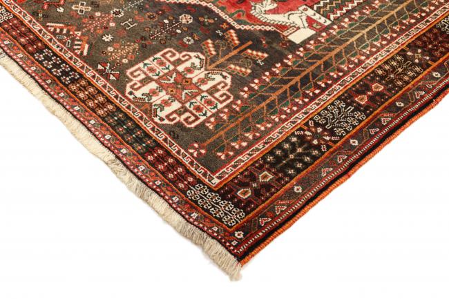 Shiraz - 5