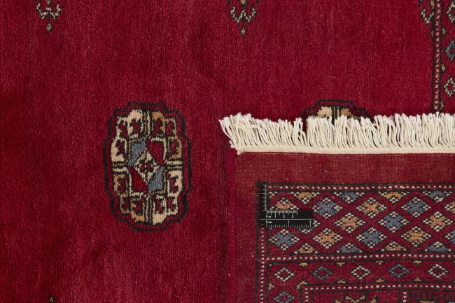 Pakistan Buchara 3ply - 1