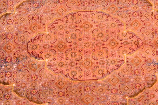 Tabriz Colored - 5