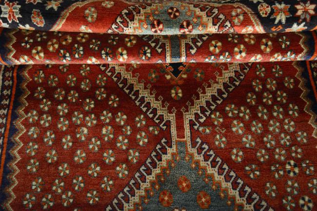 Shiraz - 8