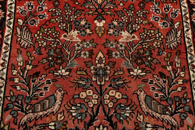 Hamadan Darjazin - 8