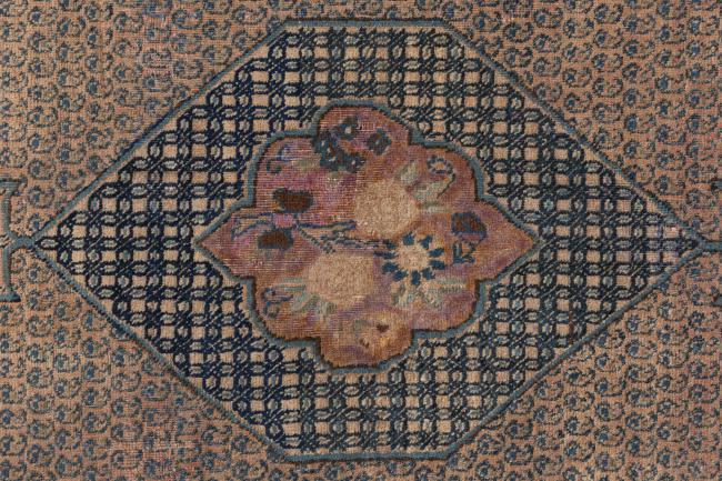 Hamadan Vechi - 7