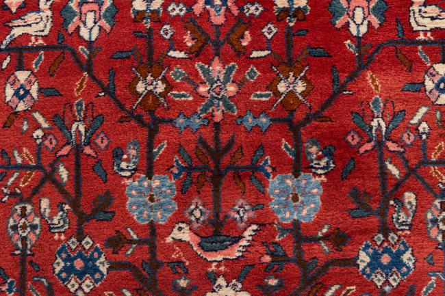 Persian Gabbeh Kashkuli - 7