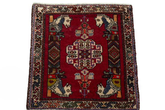 Shiraz - 3