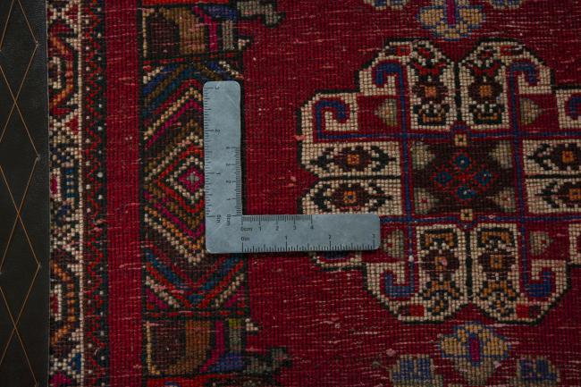 Shiraz - 4