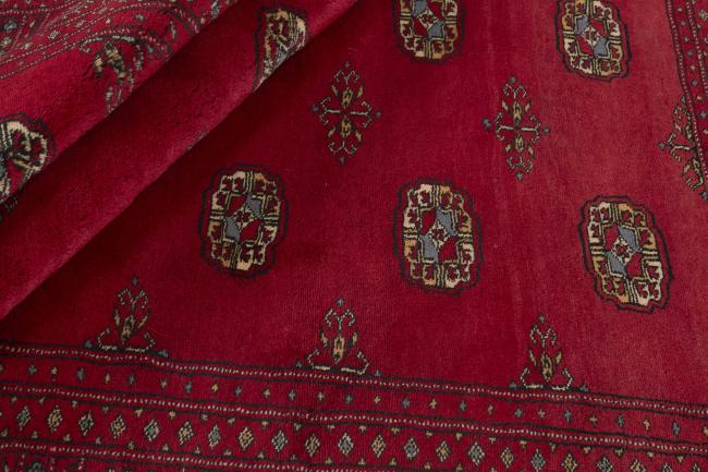 Pakistan Buchara 3ply - 2