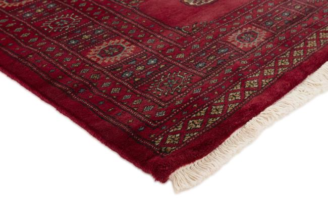 Pakistan Buchara 3ply - 3