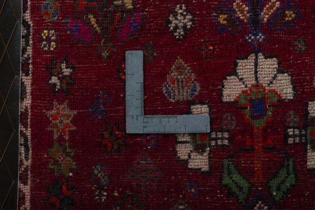Shiraz - 4
