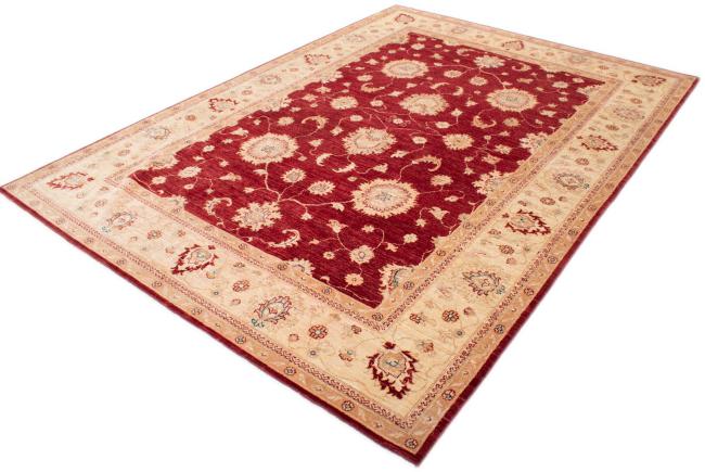 Ziegler Farahan - 2