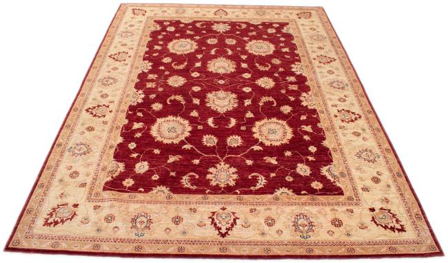 Ziegler Farahan - 3
