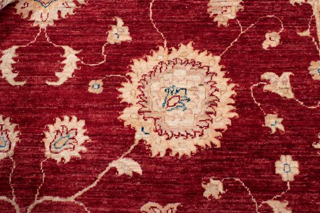 Ziegler Farahan - 5