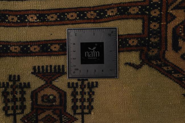 Baluch Colored - 7