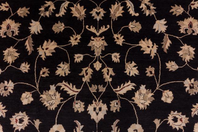 Ziegler Farahan - 3
