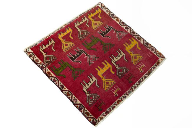 Shiraz - 2