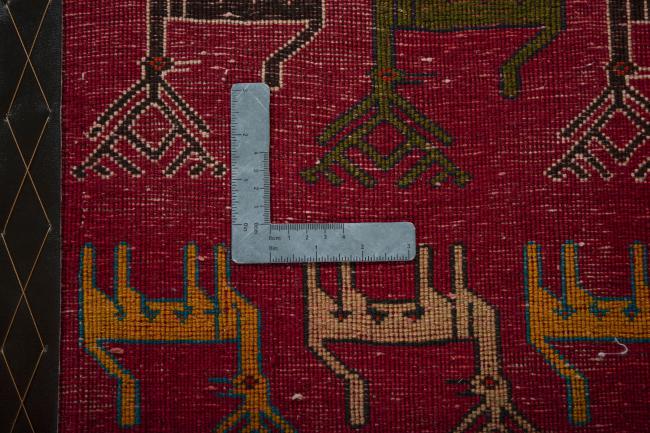 Shiraz - 4