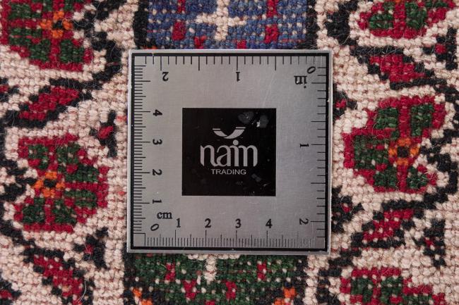 Baluch - 8