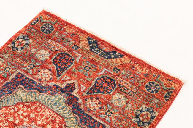 Ziegler Farahan - 3