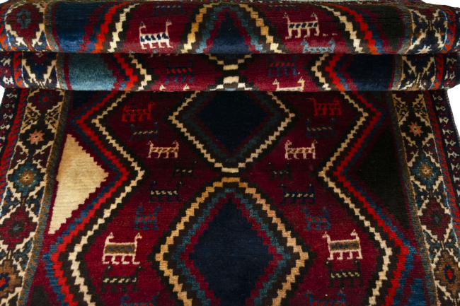 Shiraz - 7