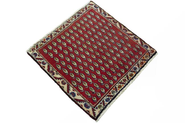 Shiraz - 2