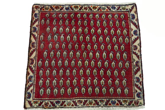 Shiraz - 3