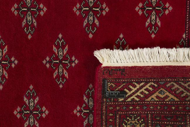 Pakistan Buchara 2ply - 1