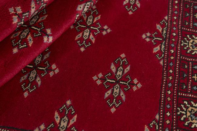 Pakistan Buchara 2ply - 2
