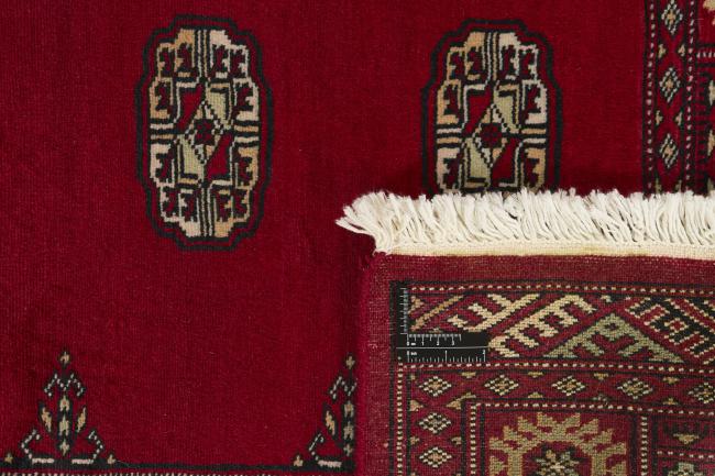 Pakistan Buchara 2ply - 1