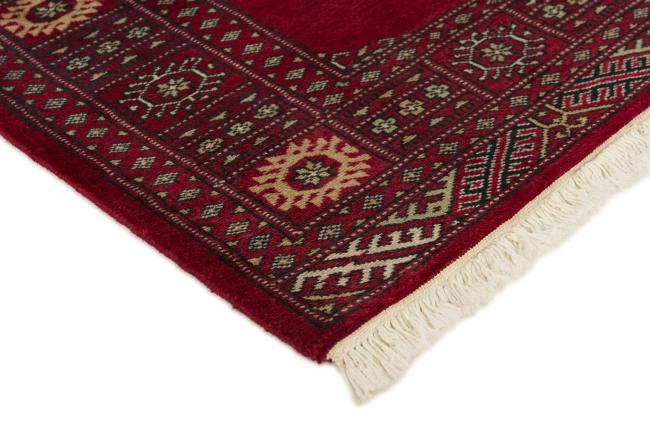 Pakistan Buchara 2ply - 3