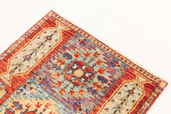 Ziegler Farahan - 3