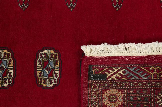 Pakistan Buchara 2ply - 1