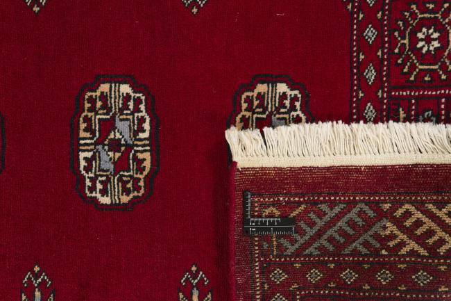 Pakistan Buchara 2ply - 1