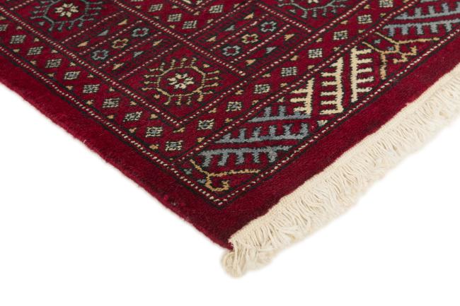 Pakistan Buchara 2ply - 3