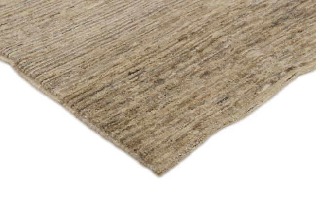 Arijana Ziegler Farahan - 3