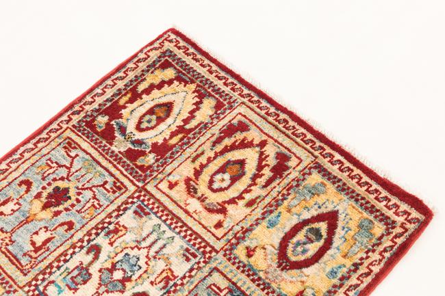 Ziegler Farahan - 3
