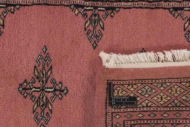 Pakistan Buchara 2ply - 1